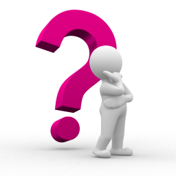 Q&A